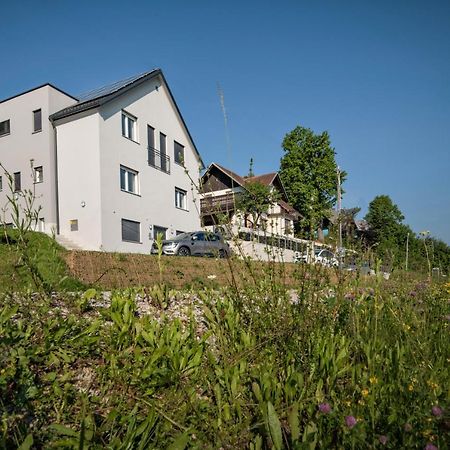 Vila Vernig Bled Kültér fotó